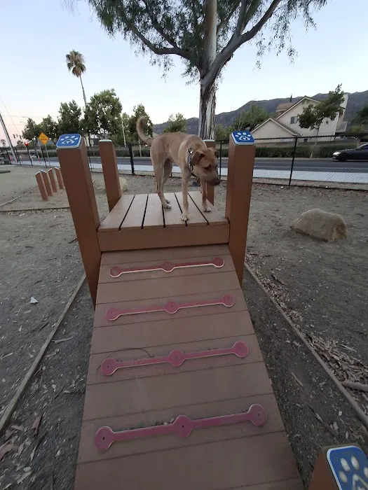 Serenity Dog Park 4