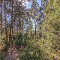 Mountain Tails Private Dog Park ico