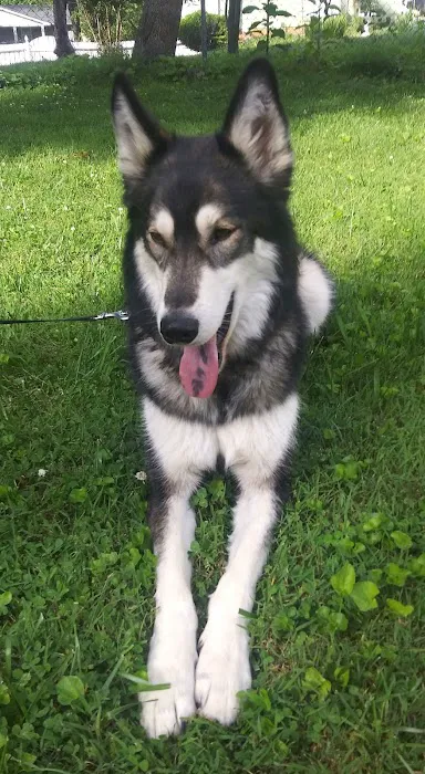Guenther Willows Dog Park 6