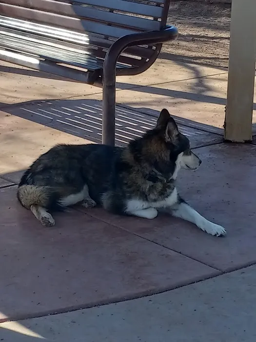 Guenther Willows Dog Park 3