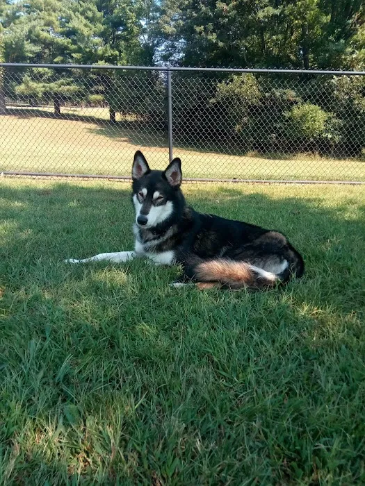 Guenther Willows Dog Park 2