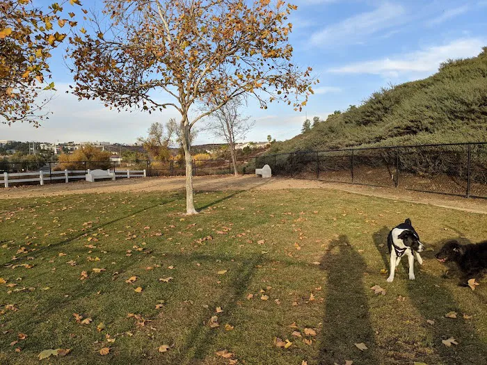Guenther Willows Dog Park 10