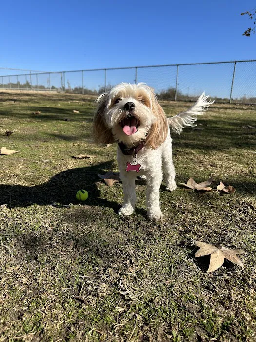 Margarita Dog Park 4