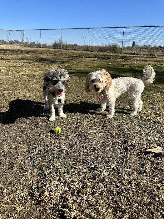 Margarita Dog Park 9