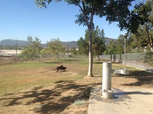 Margarita Dog Park 3