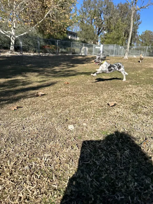 Margarita Dog Park 2