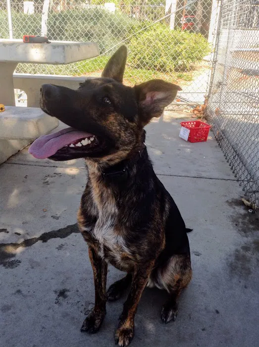Margarita Dog Park 8