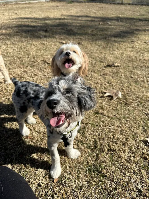 Margarita Dog Park 5