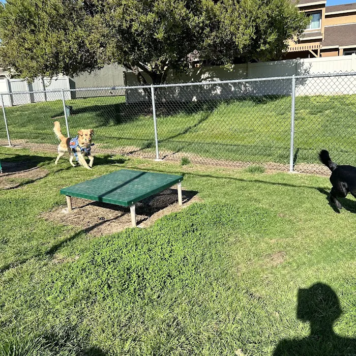 Dog Park O’Neill Heights 4