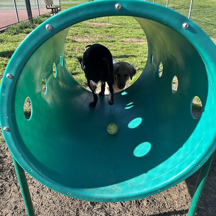 Dog Park O’Neill Heights 2
