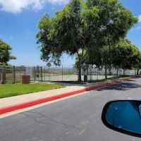 Serra mesa dog park ico