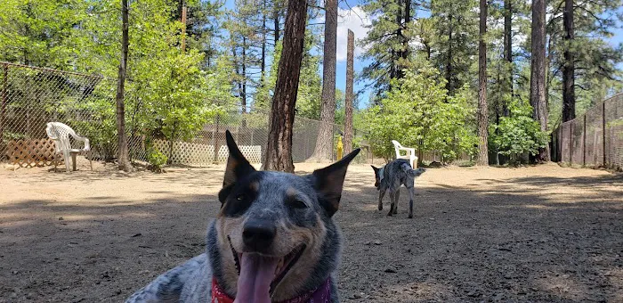 Rick Barker Dog Park 2