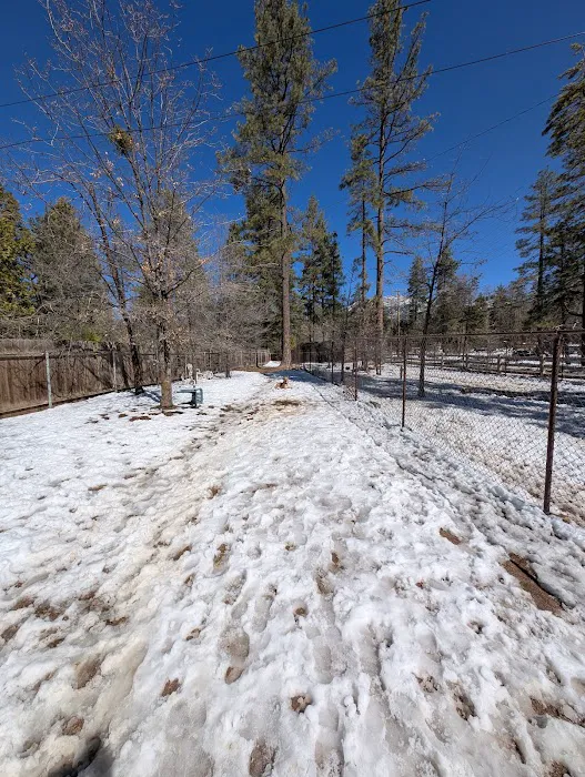 Rick Barker Dog Park 1