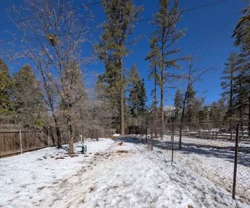 Rick Barker Dog Park