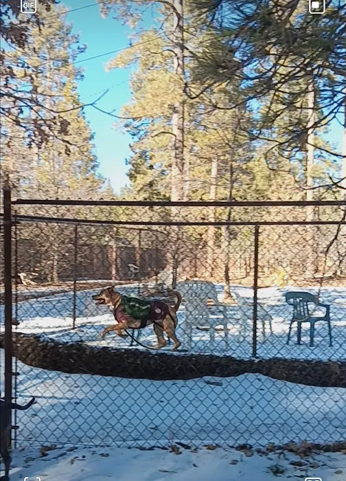 Rick Barker Dog Park 8