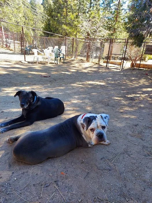 Rick Barker Dog Park 6