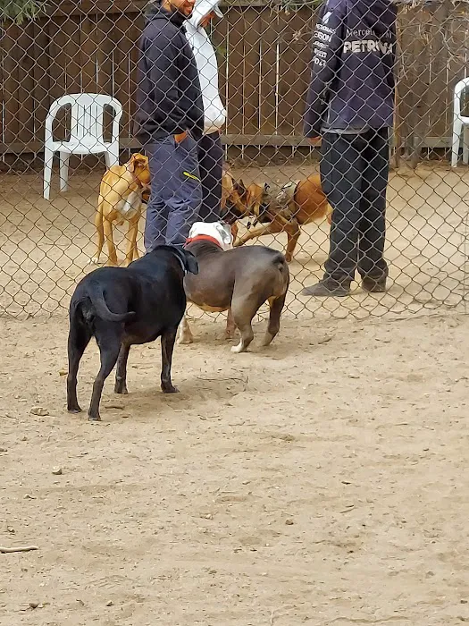 Rick Barker Dog Park 3