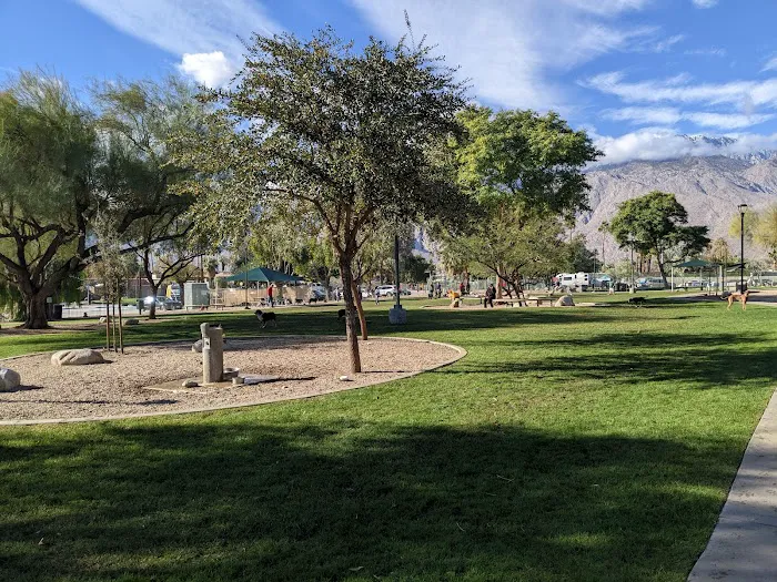 David H. Ready Palm Springs Dog Park 3