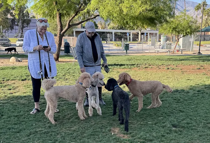 David H. Ready Palm Springs Dog Park 2