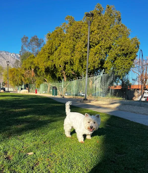 David H. Ready Palm Springs Dog Park 5