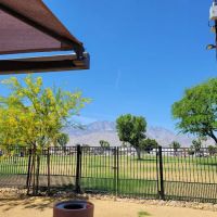 Panorama Park Dog Park ico