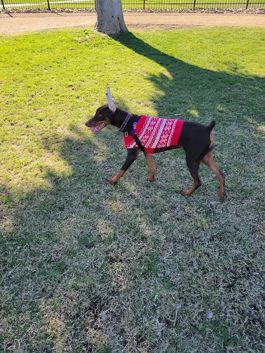 Panorama Park Dog Park 8