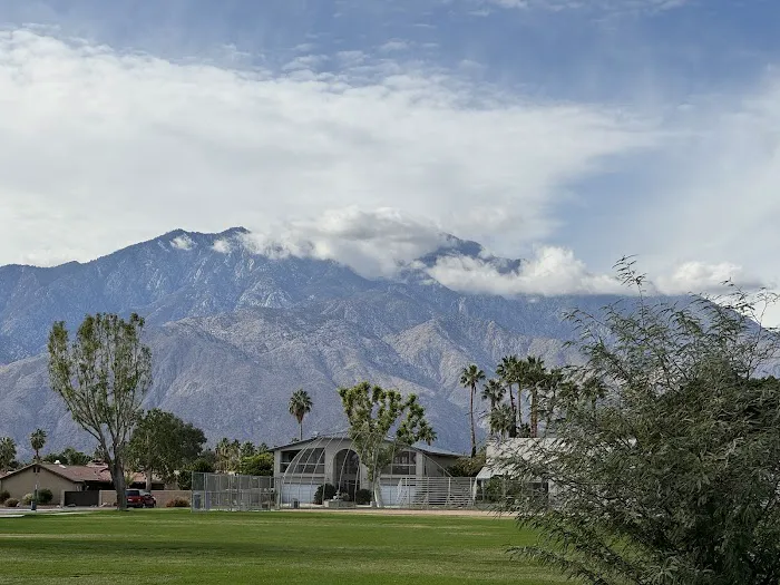 Panorama Park Dog Park 4