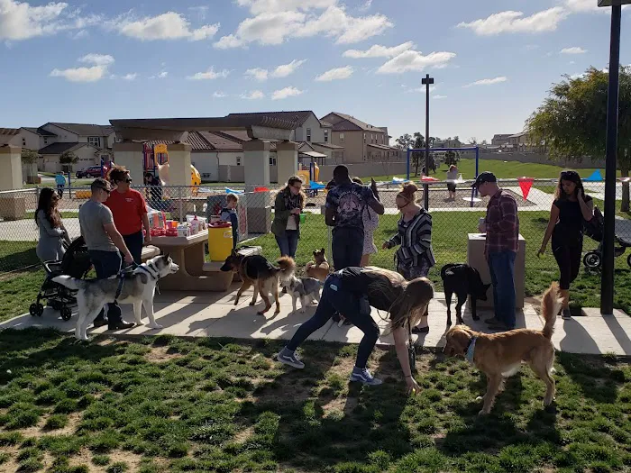 Harborview / Seaside Village Dog Park 4