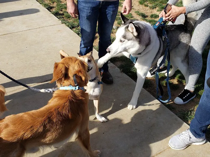 Harborview / Seaside Village Dog Park 5