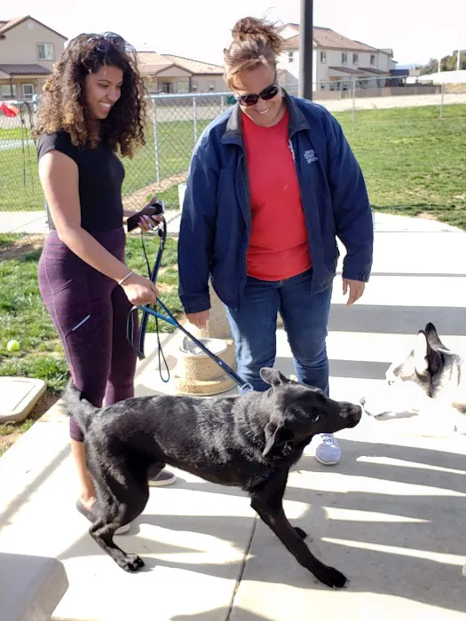 Harborview / Seaside Village Dog Park 3