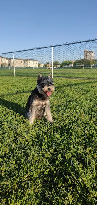 Military access only: Del Mar Dog Park 1