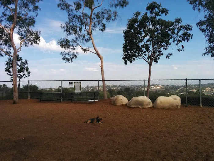 Dog Park 8