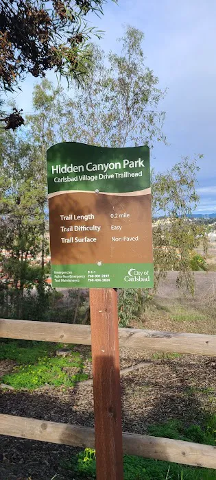 Dog Park 5