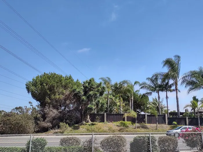 Dog Park 10