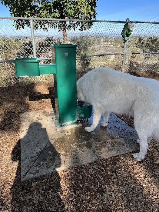 Dog Park 4