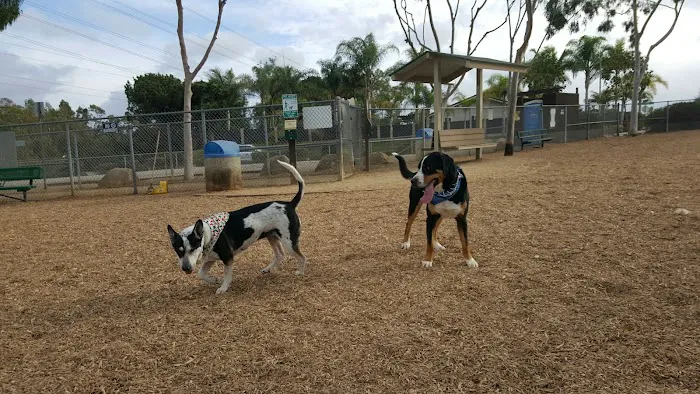 Dog Park 7