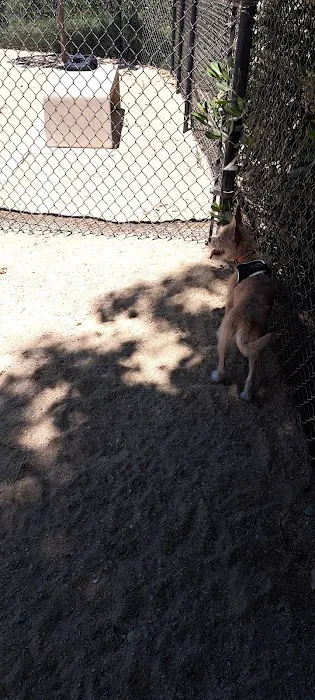 Sunset Park Dog Park 10
