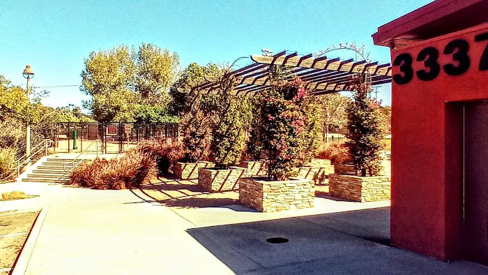 Sunset Park Dog Park 7
