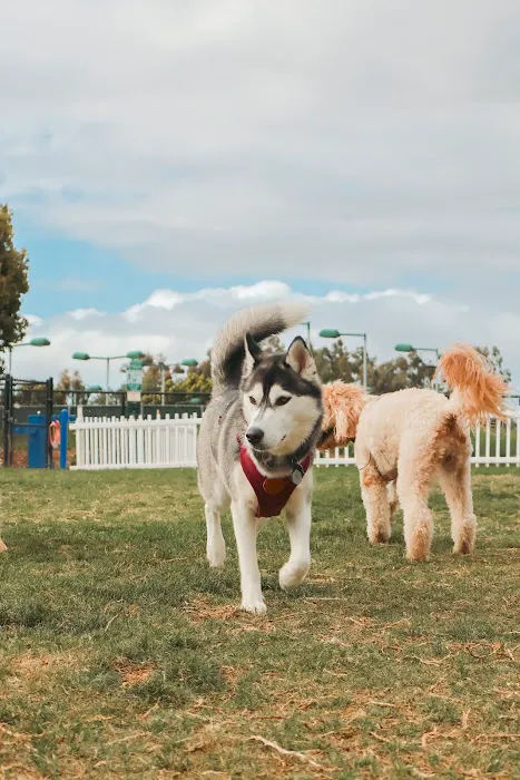 Poinsettia Dog Park 4