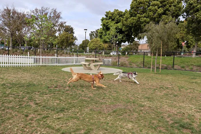 Poinsettia Dog Park 7