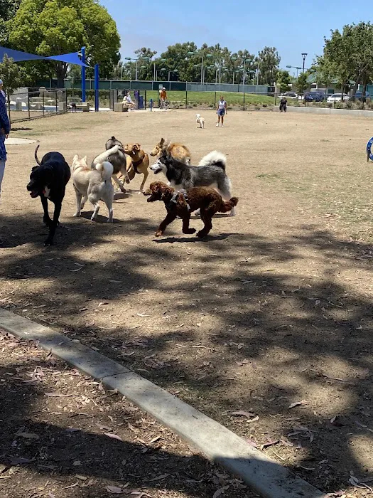 Poinsettia Dog Park 10