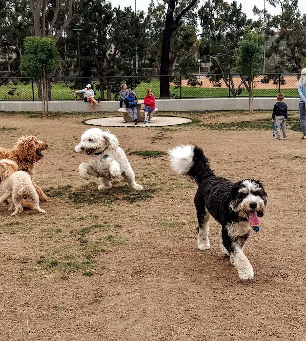 Poinsettia Dog Park 3