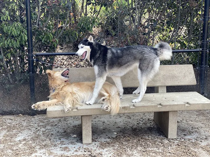 Alga Norte Dog Park 9