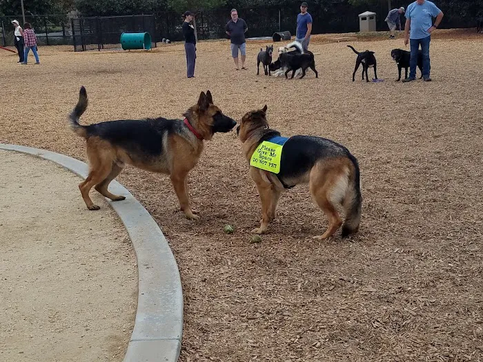 Alga Norte Dog Park 4