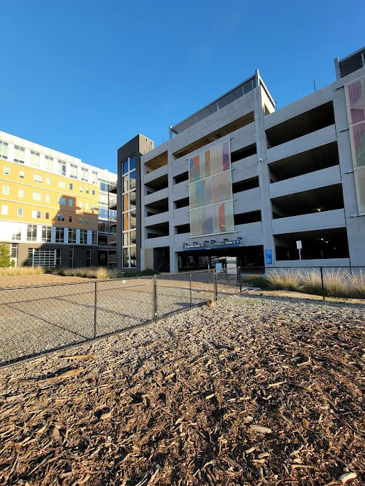 North City Dog Park 8