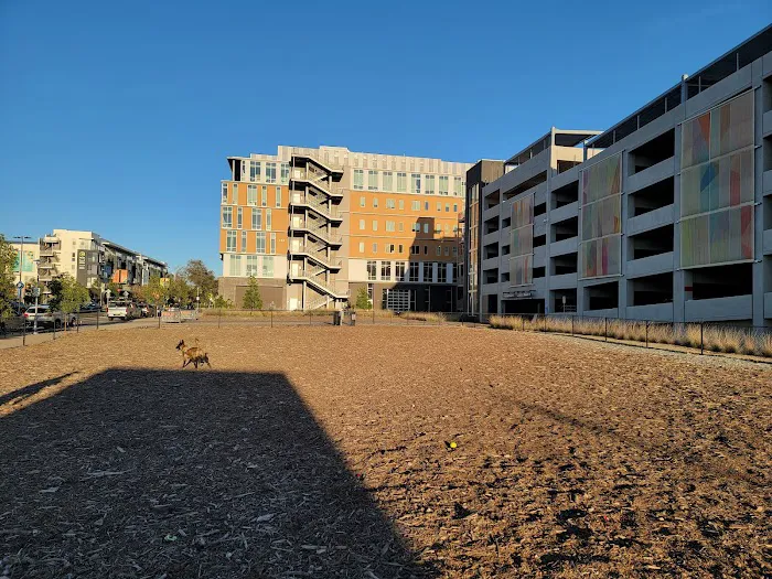 North City Dog Park 1