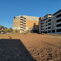 North City Dog Park ico