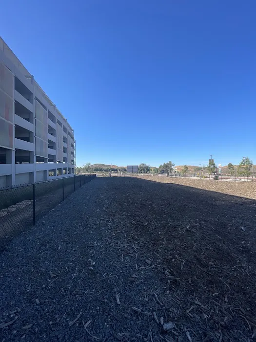 North City Dog Park 4