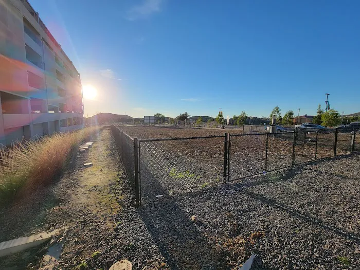 North City Dog Park 2