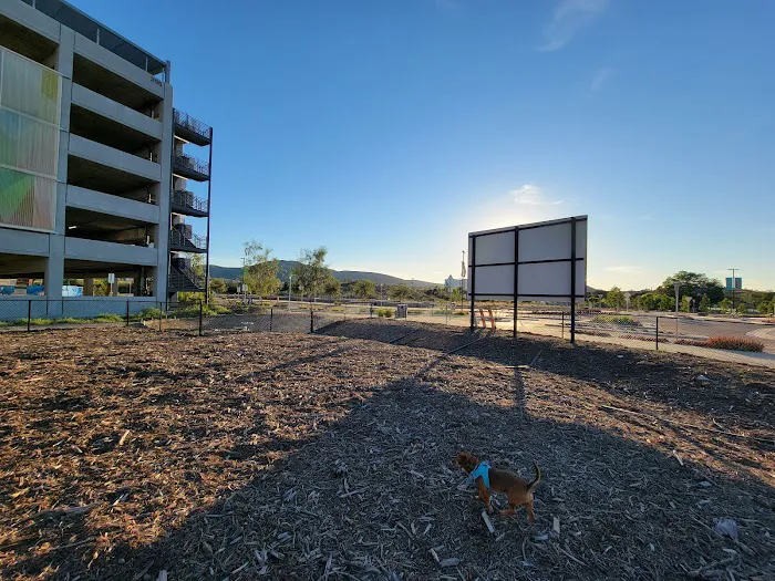 North City Dog Park 5